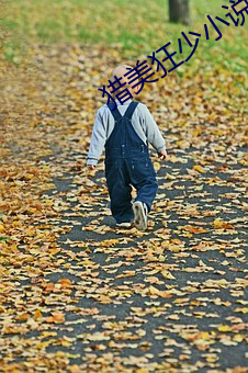 猎美狂少小说