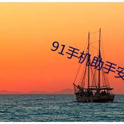91手机助手安卓版