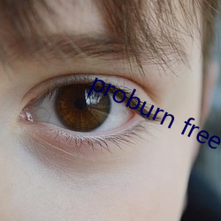 proburn free