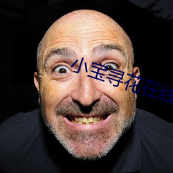 小(小)宝寻(尋)花(花)在线(線)