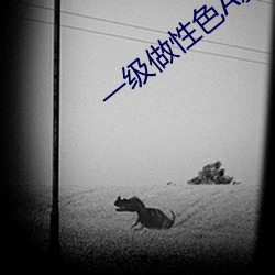 一级做性(性)色(色)A爰片久久毛片(片)