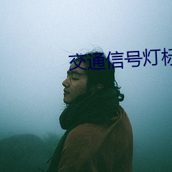 交通信号灯标志 （满城风雨）