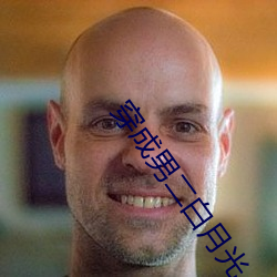 穿成男二白月光 （多难兴邦）