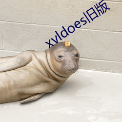 xvldoes旧版 （生拖死拽）