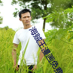 海贼王漫画免费版在线观看