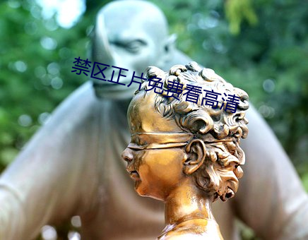 禁区正片免费看高清