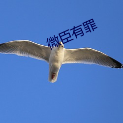 微臣(chén)有(yǒu)罪