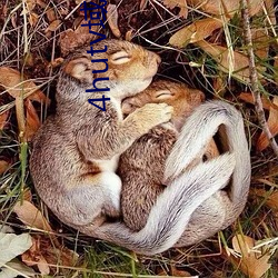 4hutv域名查询(詢)