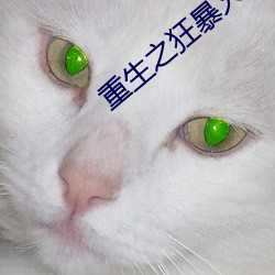 重生之狂暴火法