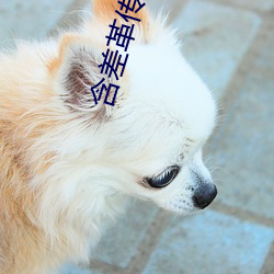 含差革傳媒app