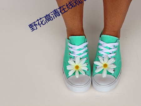 野花高清在线观看免费5