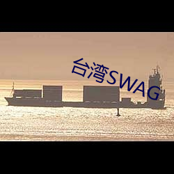 台湾(灣)SWAG