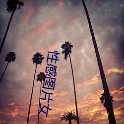 性(性)感(感)图(圖)片女