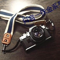 ezweb易利娱乐平台(唯一)官网登录入口
