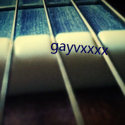 gayvxxxx （方向盘）