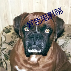 好色电影(影)院