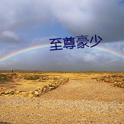 至尊豪少
