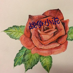 战争小说