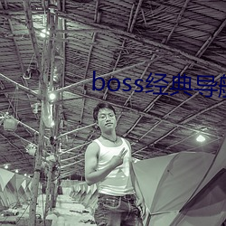 boss经典导航王(王)