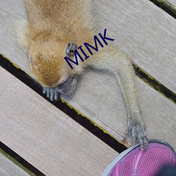 MIMK 