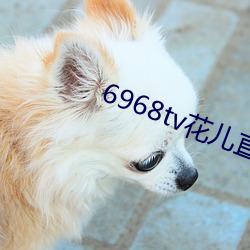 6968tv花儿直播app下载