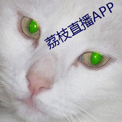 荔枝直播APP