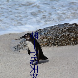 等(děng)一个晴天铃声