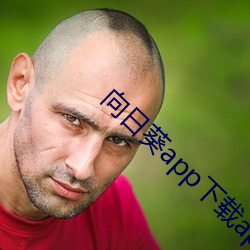 向(xiàng)日葵app下载api免(miǎn)费