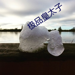 极品(pǐn)皇(hung)太子