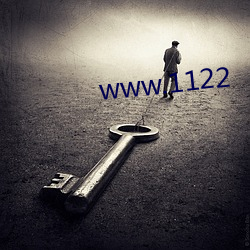 www.1122 （调制解调器）