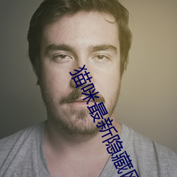 猫咪最新隐藏网站2022