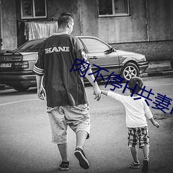 肉不停H共妻H