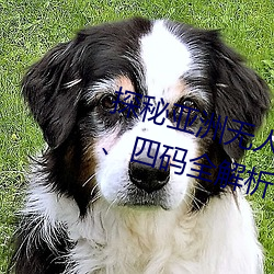 探秘亚洲无人区:一码、二码(mǎ)、三码、四码全(quán)解(jiě)析