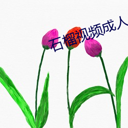 石榴(liú)视(shì)频成人app