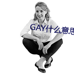 GAY什么意思