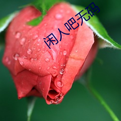 闲人吧无码(mǎ)