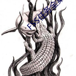 FSS任务全集迅雷下载