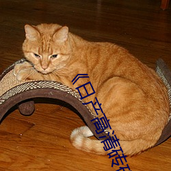 《日产高清砖(zhuān)码砖专区(qū)》高清(qīng)不(bù)卡在线观(guān)看