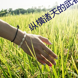 纵横诸天的武者