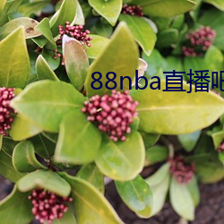 88nba直播(播)吧(吧)