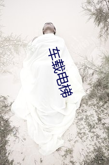 车载电梯