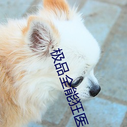 极品全能狂医