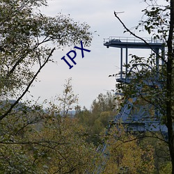 IPX