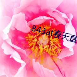 843at春(chūn)天(tiān)直播(bō)app