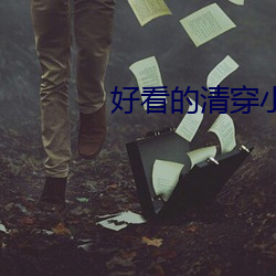 好看的清穿小說