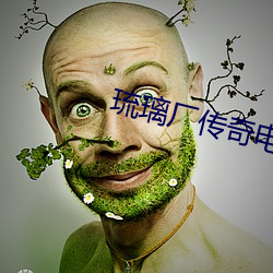 琉璃厂(廠)传奇电视剧全集在(在)线