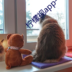 柠(níng)檬视app一anmvp
