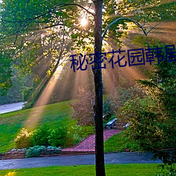 秘(mì)密(mì)花(huā)园韩剧(jù)