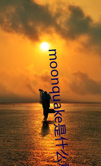 moonquake是什么意思