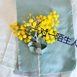 一對一陌生人即時聊天